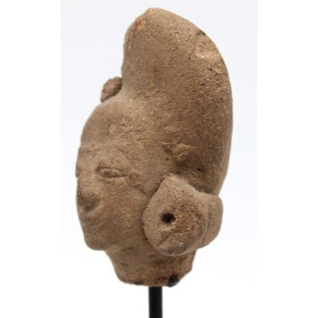 1138-terr-head-tlt-lft-3 1138-terr-head-tlt-lft-3