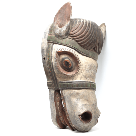 3 1328 tib horse msk R side USE 3 1328 tib horse msk R side USE