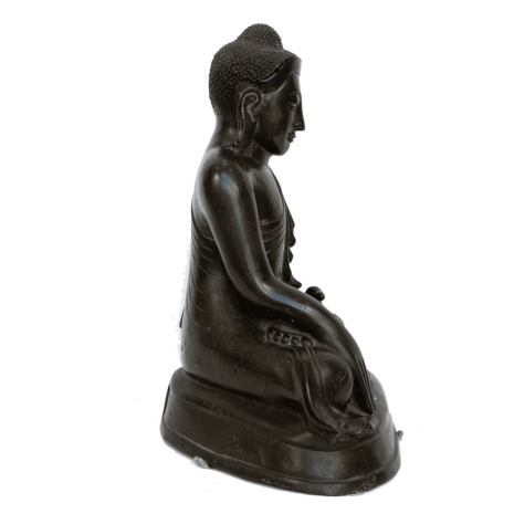 3 3553 Br Bud c copy copy 3 3553 Br Bud c copy copy