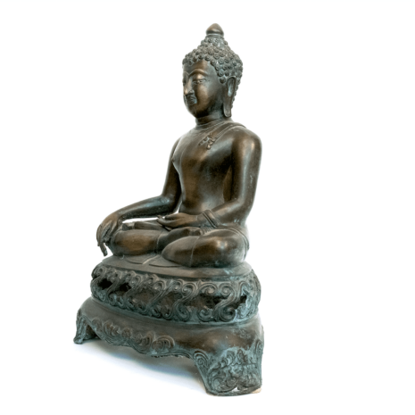 6 11246 Broz contemp bud 6 11246 Broz contemp bud