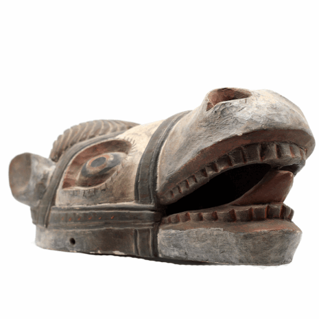 7 1328 tib horse msk R side USE 7 1328 tib horse msk R side USE