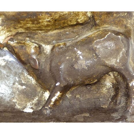 1 a 11322 Calf Detail 1 a 11322 Calf Detail