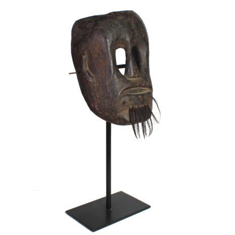 8 1203BEK Timor Ancestor FRONT R 8 1203BEK Timor Ancestor FRONT R