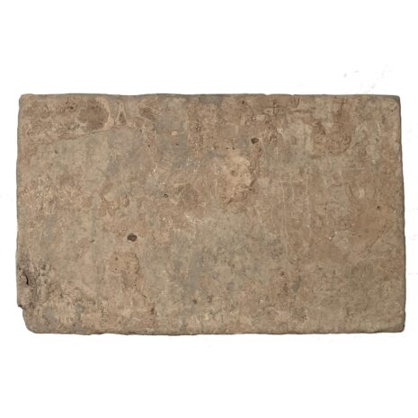 8 4001BLE Dragon Danc REAR copy 8 4001BLE Dragon Danc REAR copy