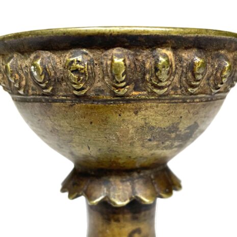 5 1278 Tikka Cup FRONT LOW 5 1278 Tikka Cup FRONT LOW