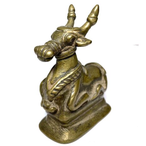 4 9510 Nandi FRONT L copy 4 9510 Nandi FRONT L copy