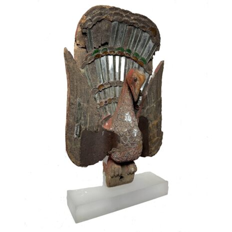 2 3302 Peacock copy 3 2 3302 Peacock copy 3