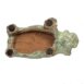 7 2029BKE Pig copy 2