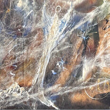 Anush 3 Angel Saviors Det 2use Anush 3 Angel Saviors Det 2use