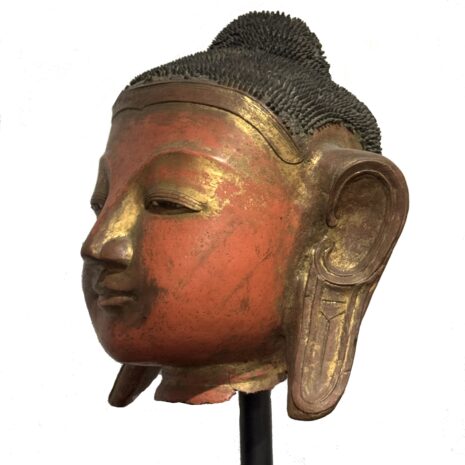 3 3370 Bud Head lftt copy 2 3 3370 Bud Head lftt copy 2