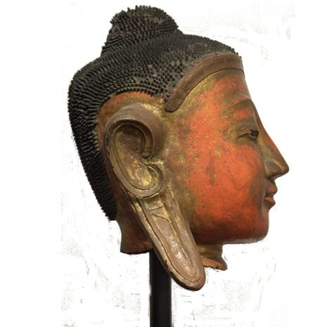 IMG_6787 copy IMG_6787 copy