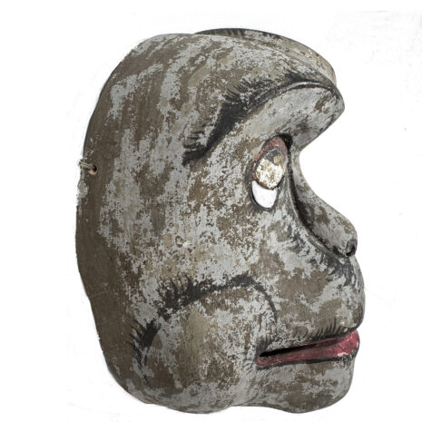 1323 Monkey 4 copy 2 1323 Monkey 4 copy 2